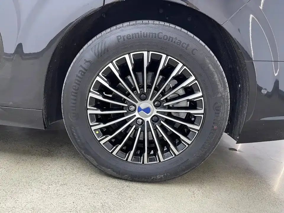 Denza Denza D9