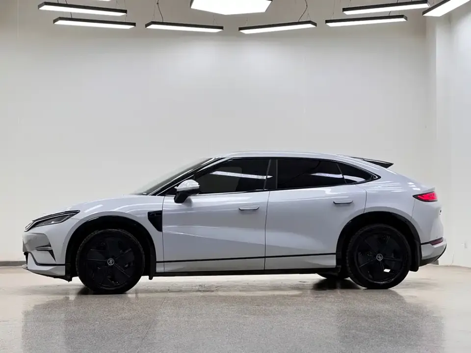 BYD L EV