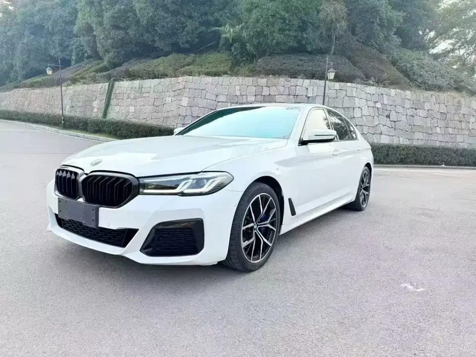 BMW 5 Series (Import)