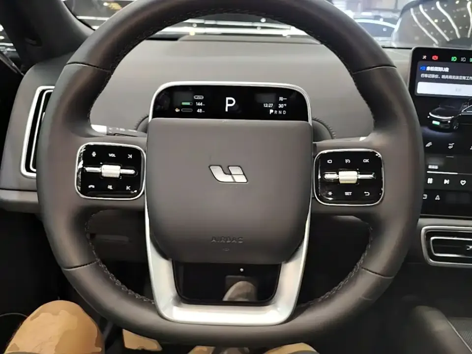 Li Li L9