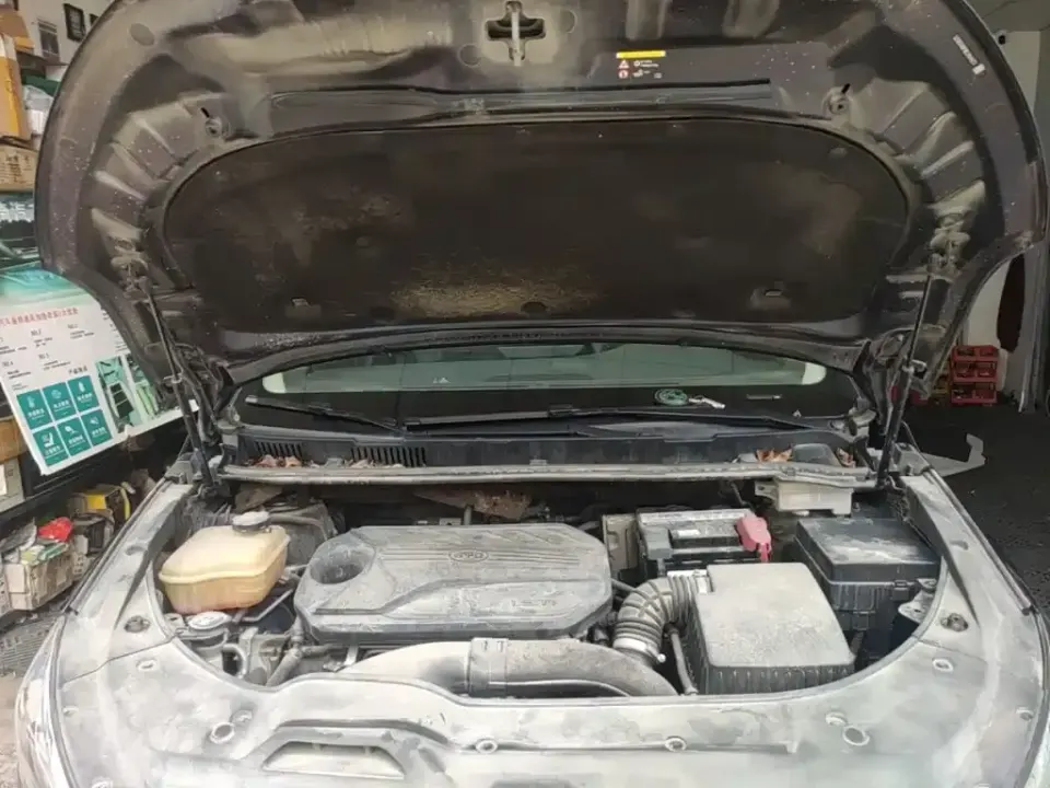 BYD MAX
