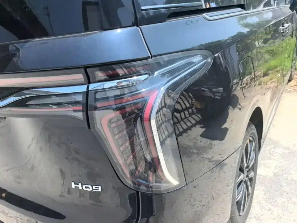 Hongqi Hongqi HQ9