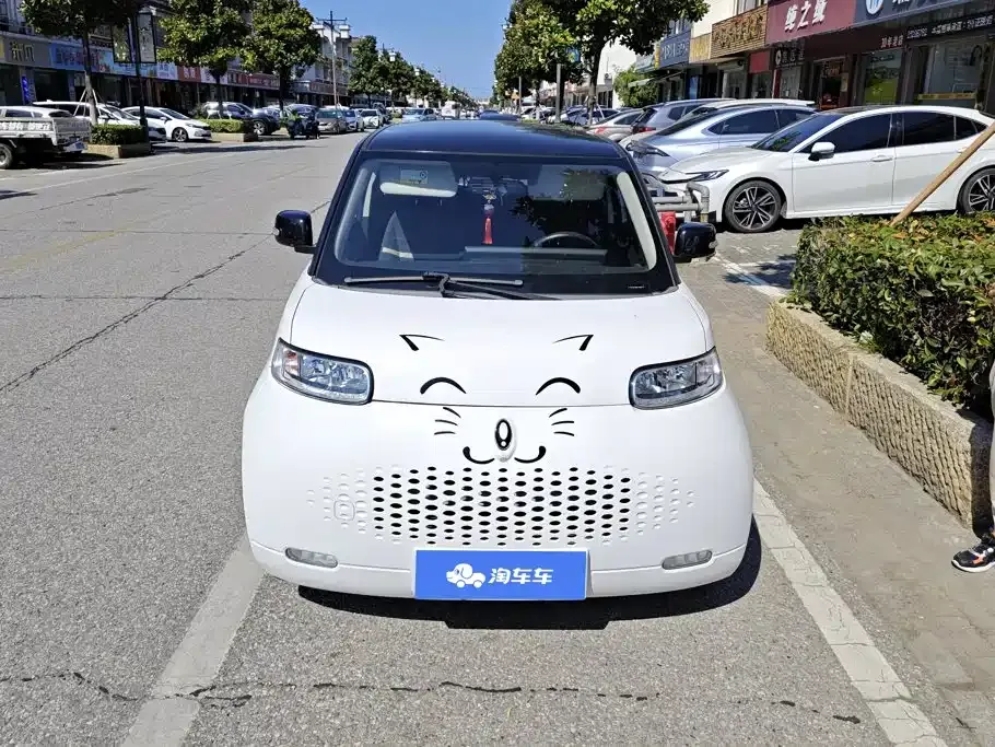 ORA Ora White Cat