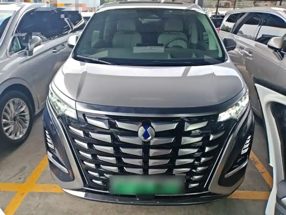 Denza Denza D9