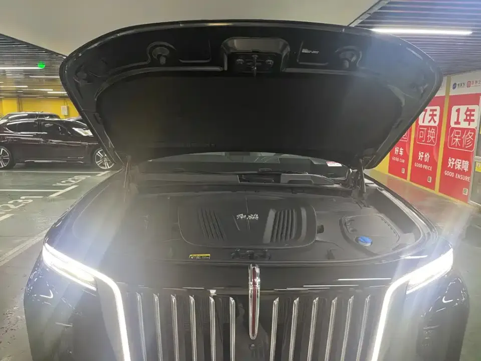 Hongqi Hongqi E-HS9