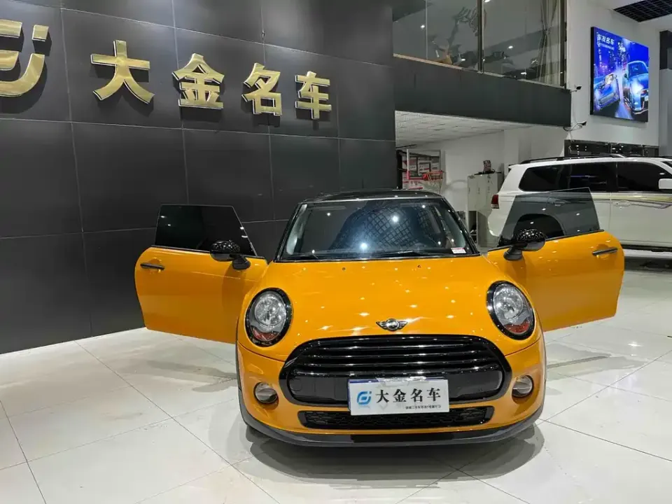 MINI Mini