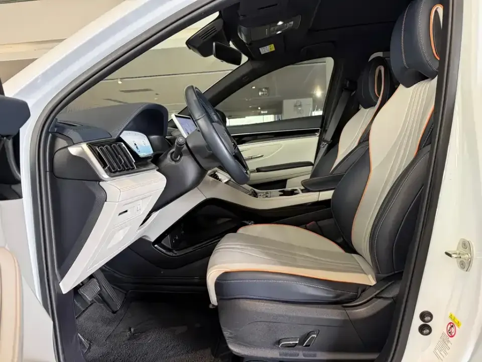 BYD PLUS New Energy