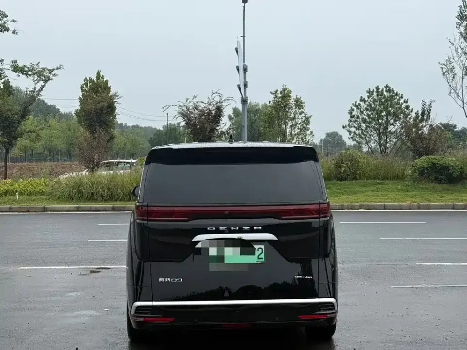 Denza Denza D9