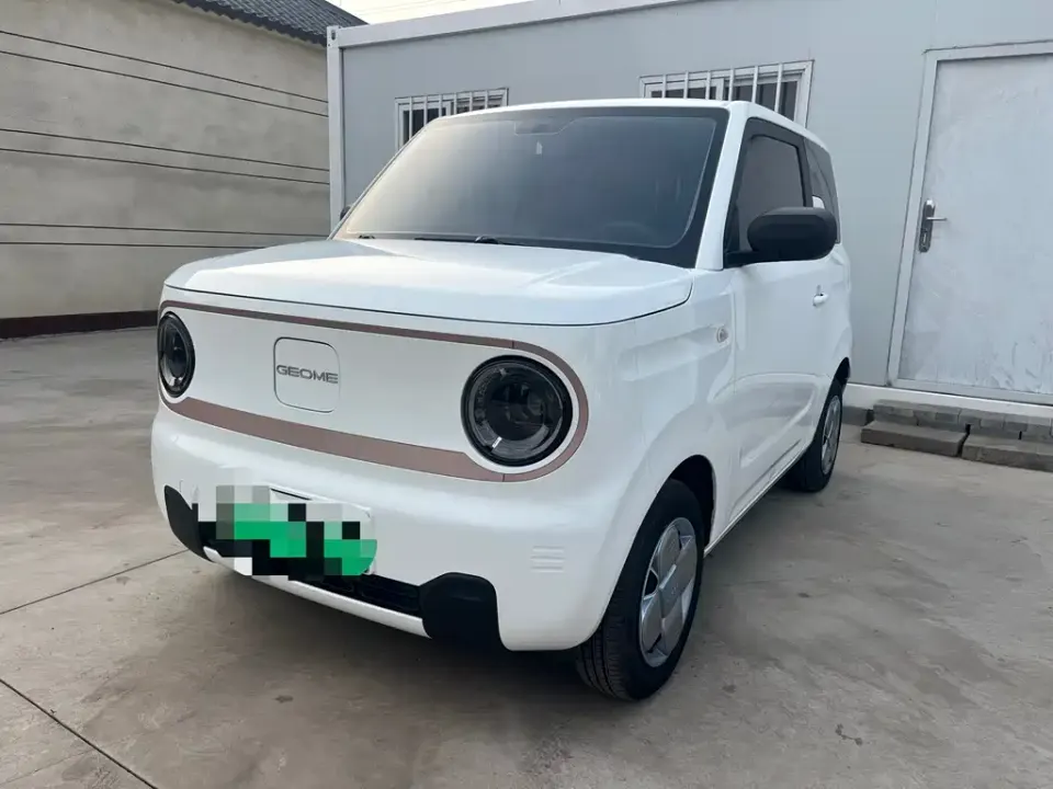 Galaxy Panda