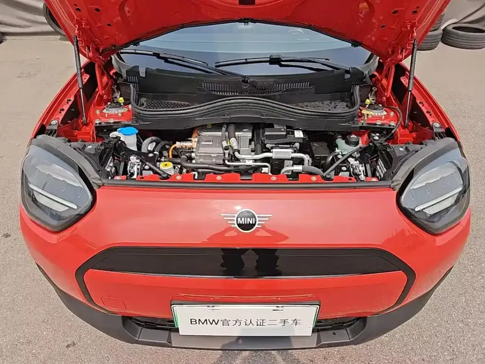 MINI MINI ACEMAN EV