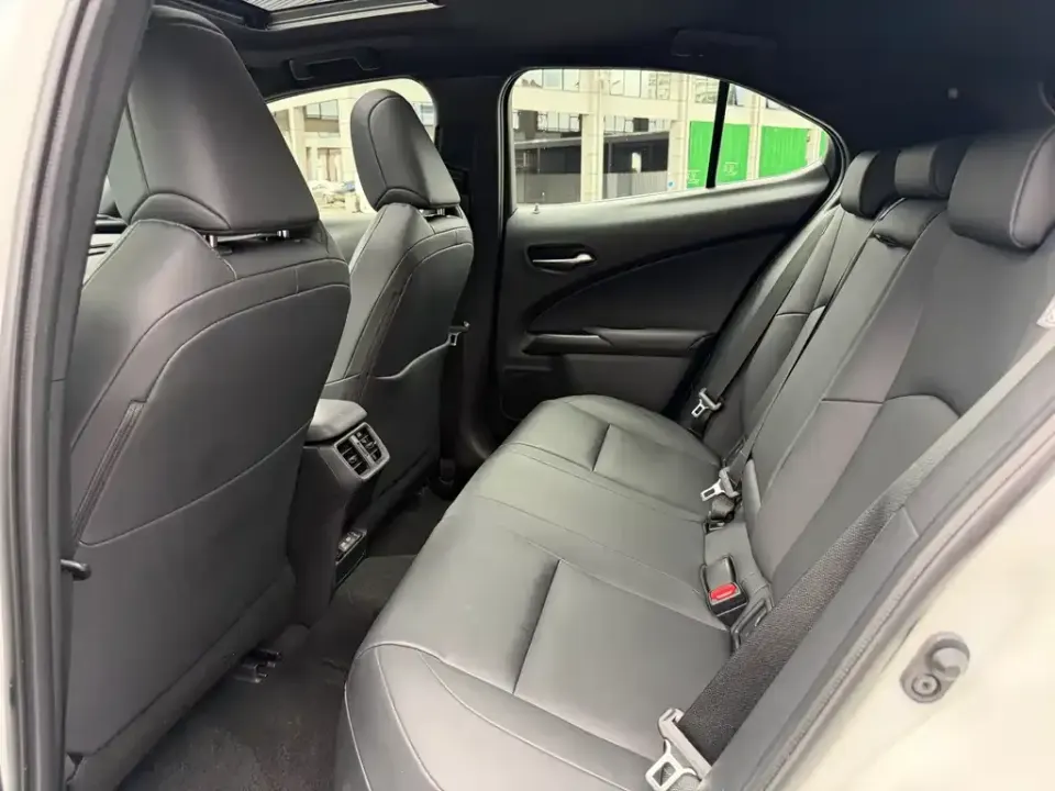 Lexus UX New Energy