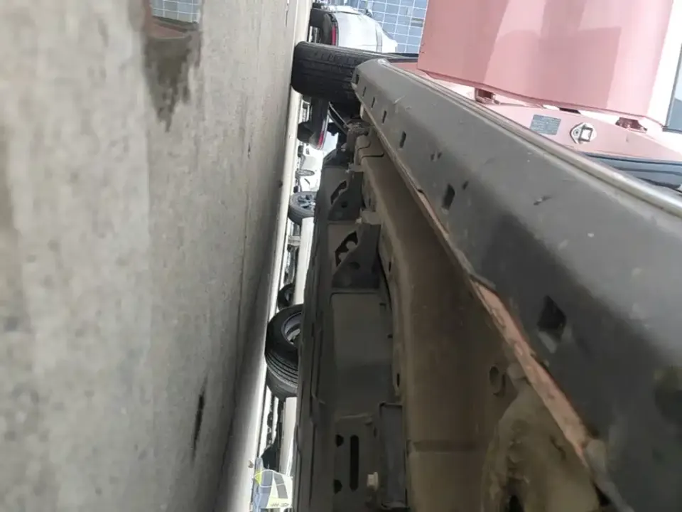 Neta Neta V