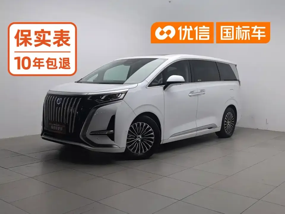 Denza Denza D9