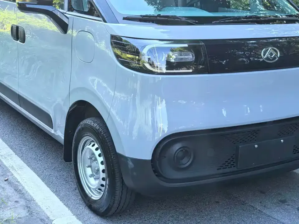 Maxus V1L