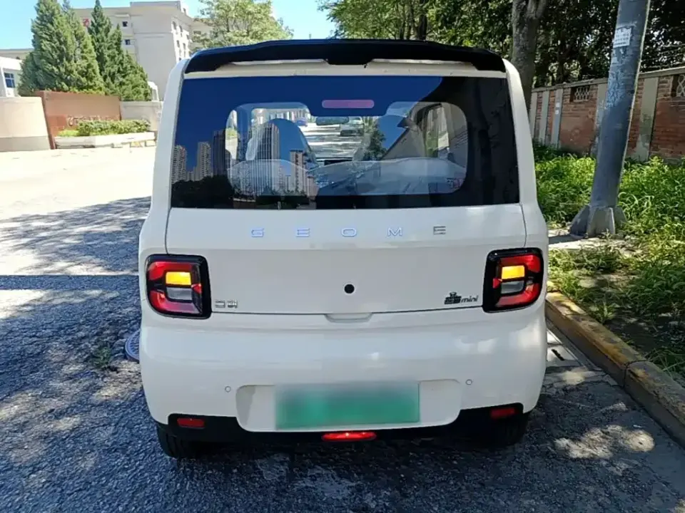 Galaxy Panda