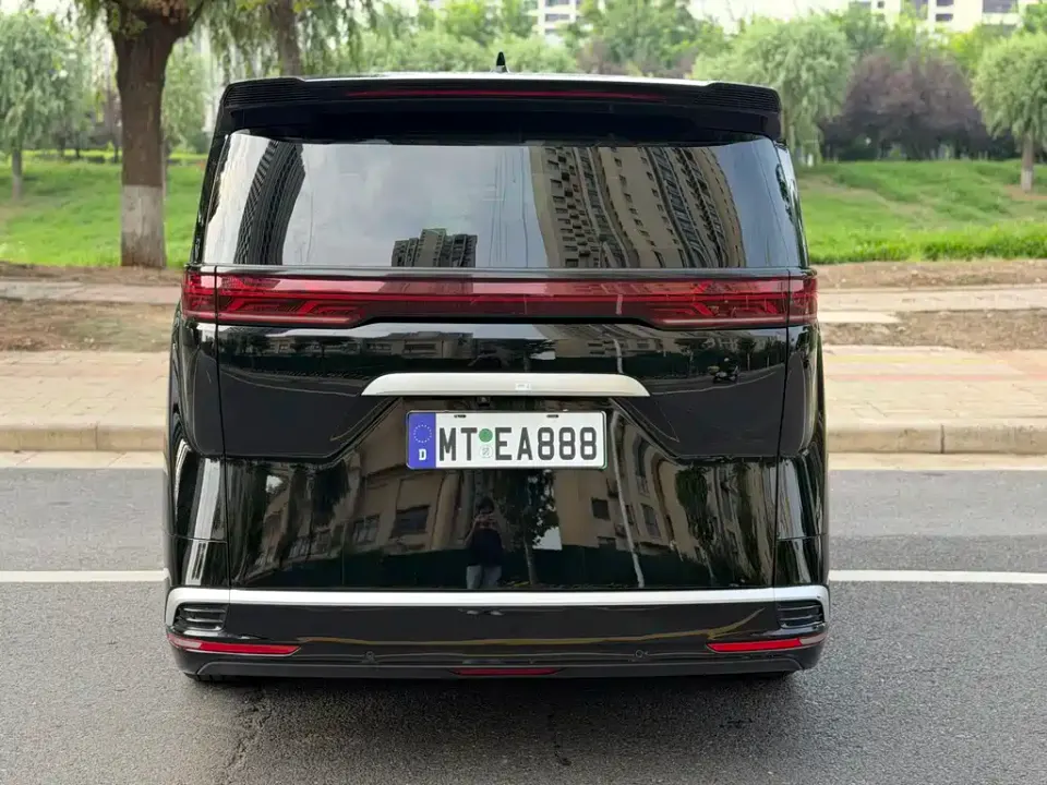 Denza Denza D9