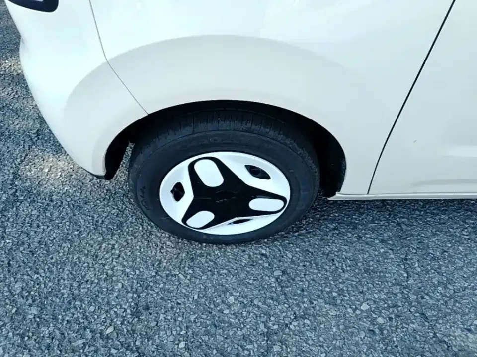 Galaxy Panda