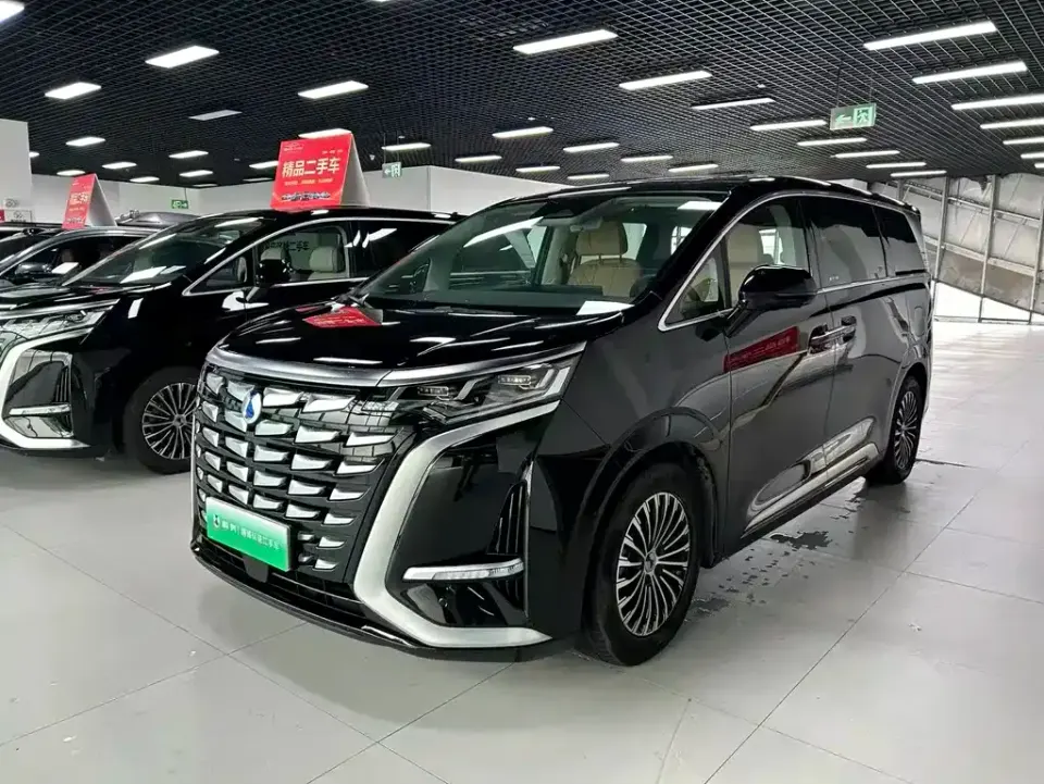 Denza Denza D9