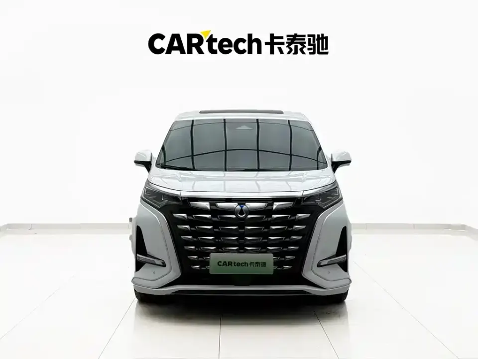 Denza Denza D9