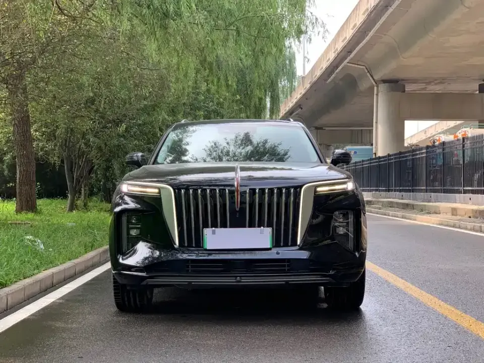 Hongqi Hongqi E-HS9