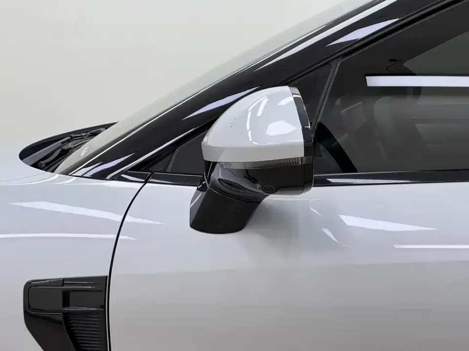 BYD L EV