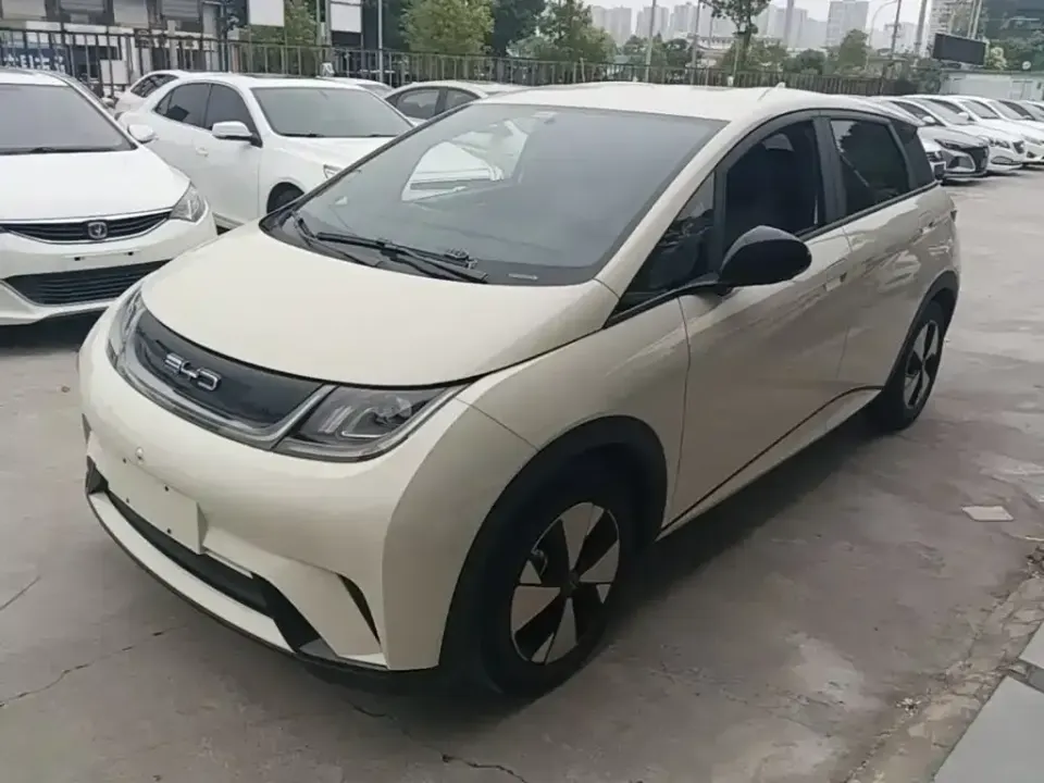 BYD Dolphin