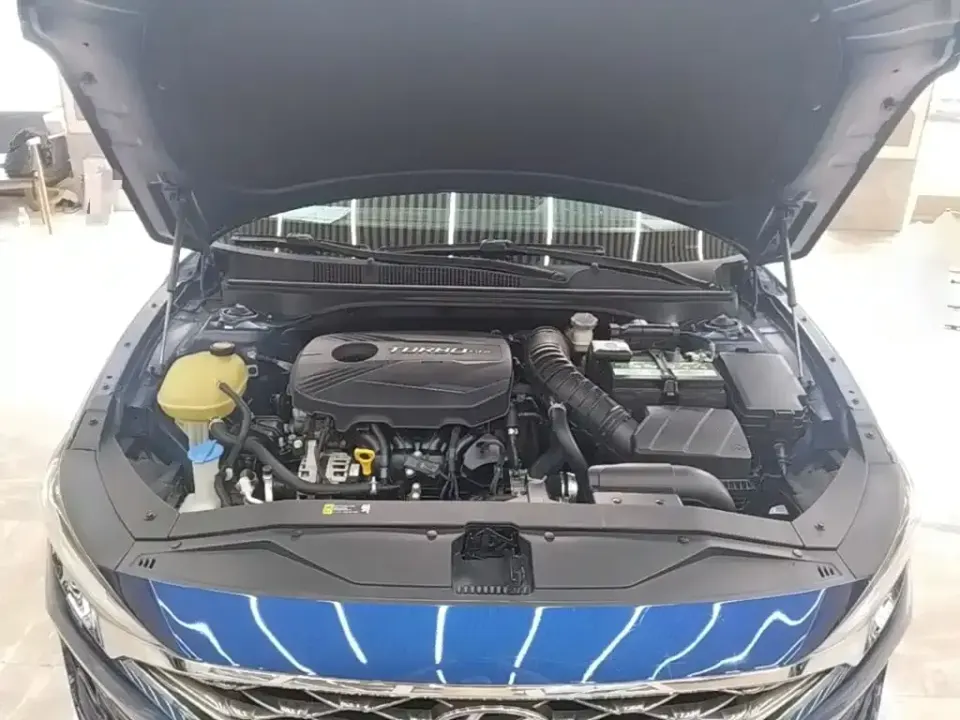 Hyundai Fista