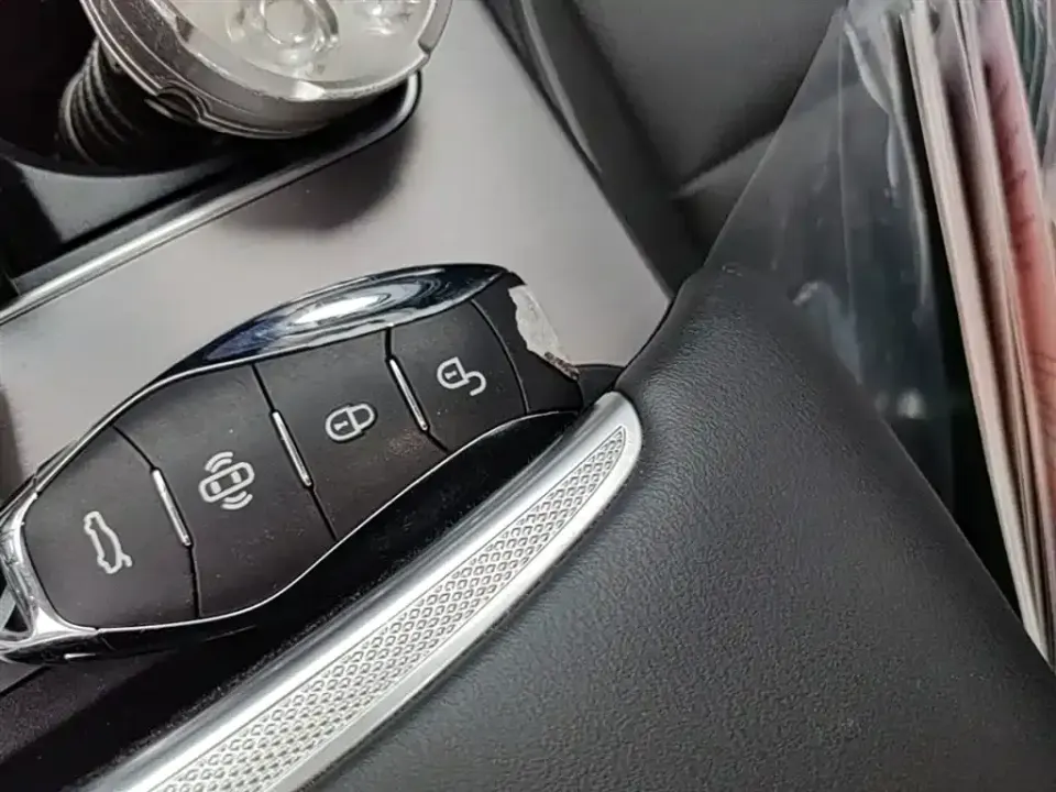 Hongqi Hongqi HS7 PHEV