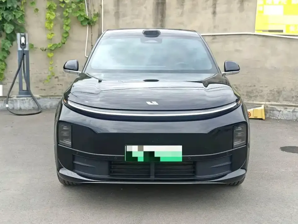 Li Li L6