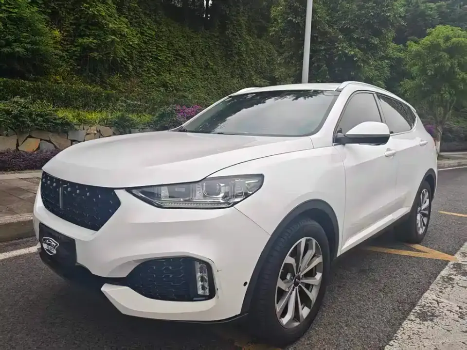 WEY Wey VV6