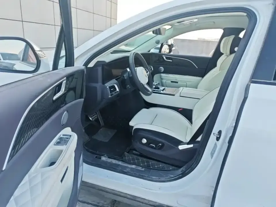 Hongqi Hongqi E-HS9