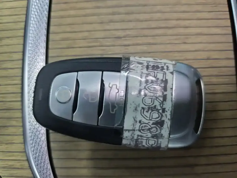 Hongqi Hongqi E-HS9