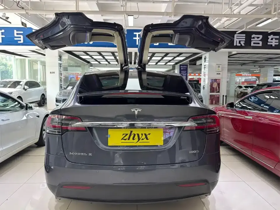 Tesla Model X