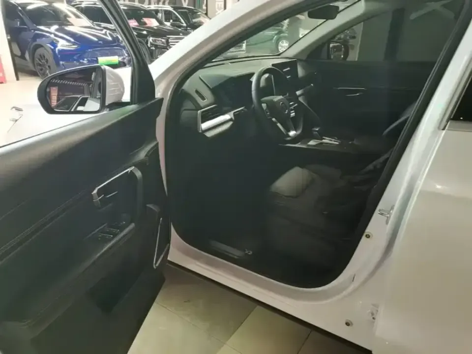 BYD Pro