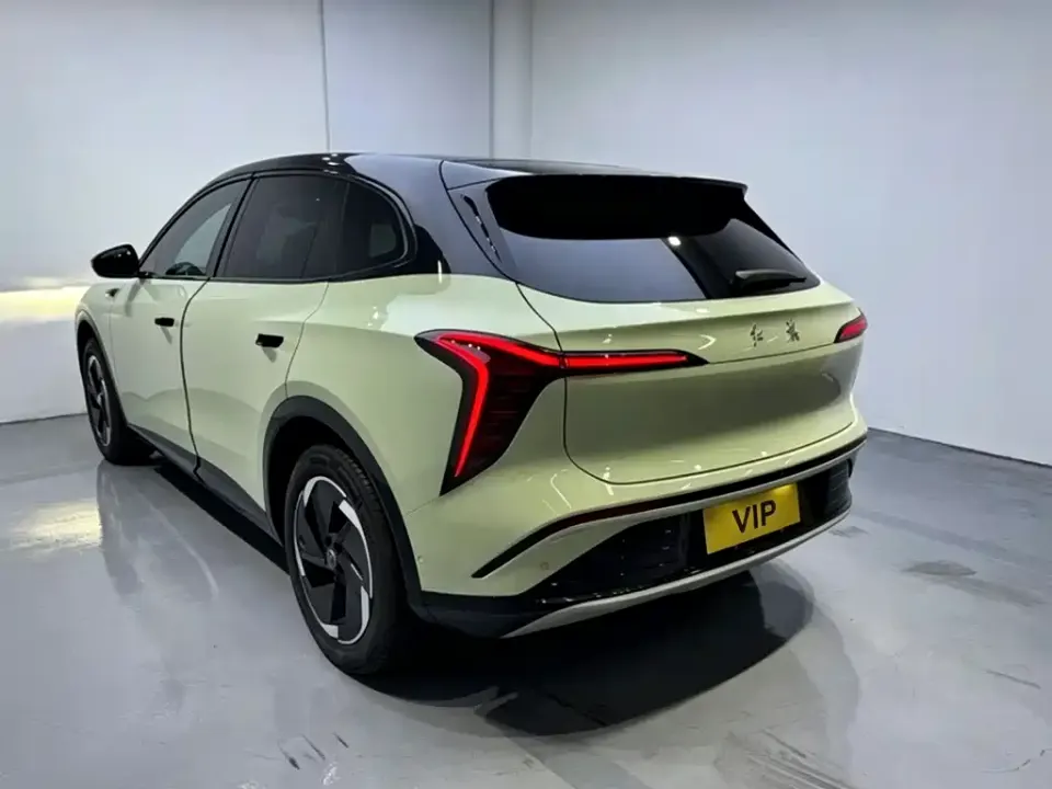 Hongqi Hongqi Tiangong 06