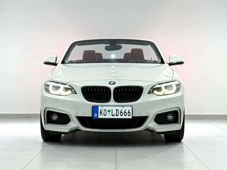 BMW 2 Series (Import)