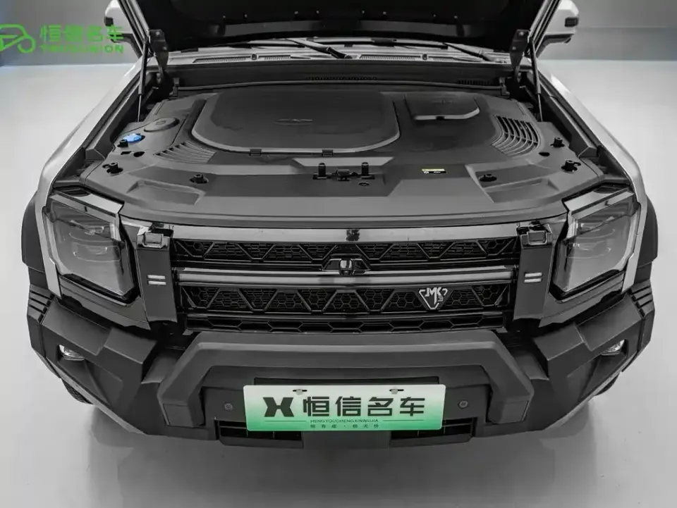 Shanhai Traveller C-DM