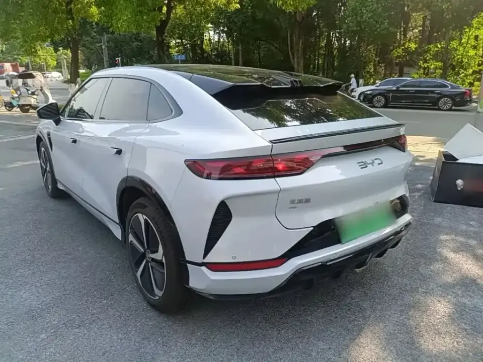 BYD L EV