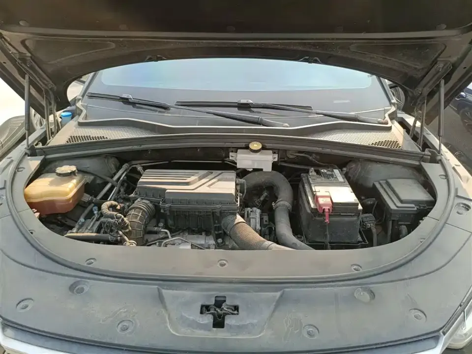 BYD PLUS