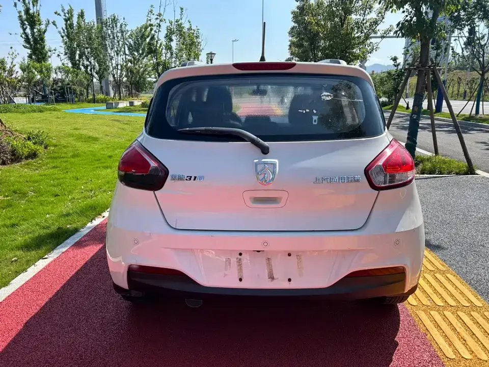 Baojun 310