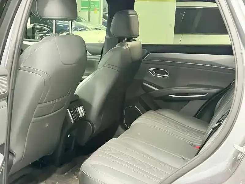 BYD L DM-i