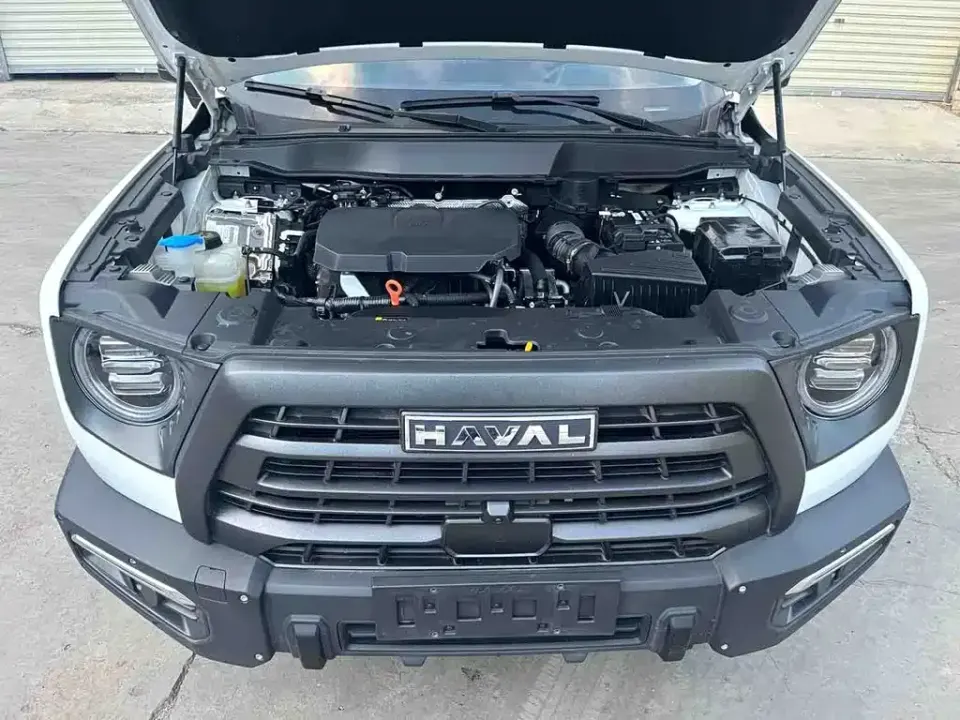 Haval Big Dog