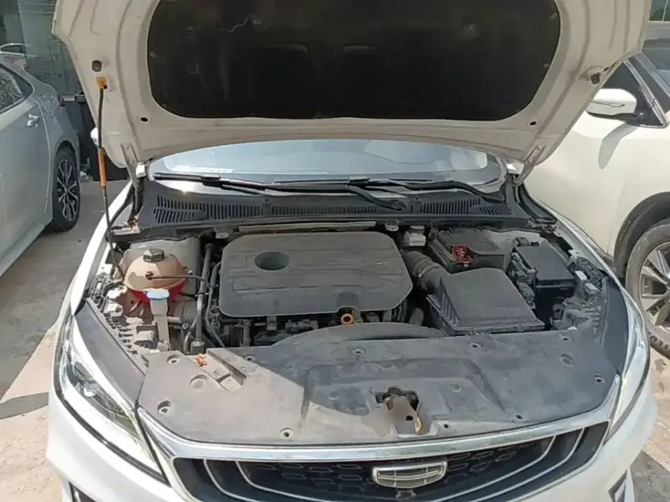 Geely Binrui