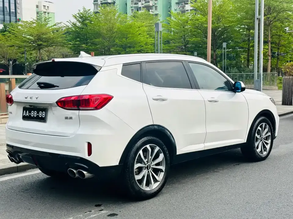 WEY Wey VV6
