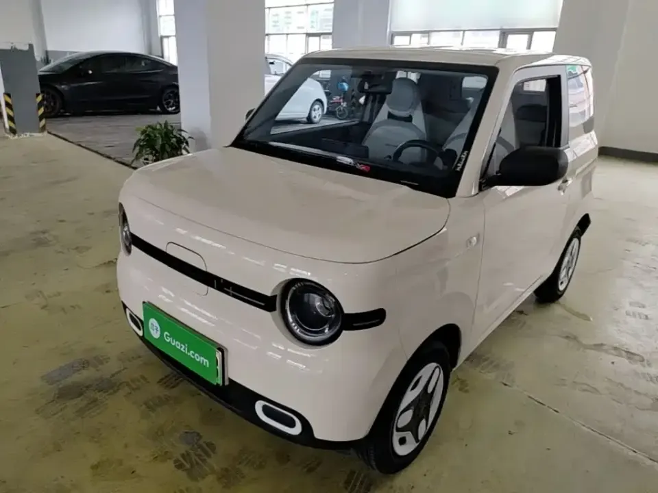Galaxy Panda