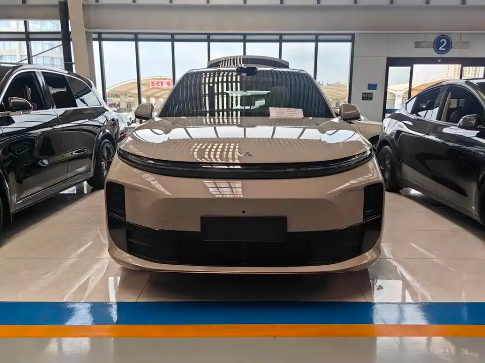 Li Li L6