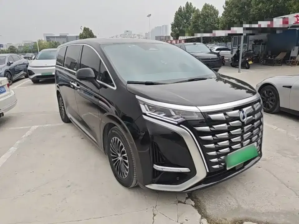 Denza Denza D9
