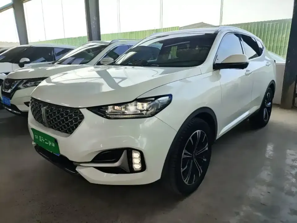 WEY Wey VV6