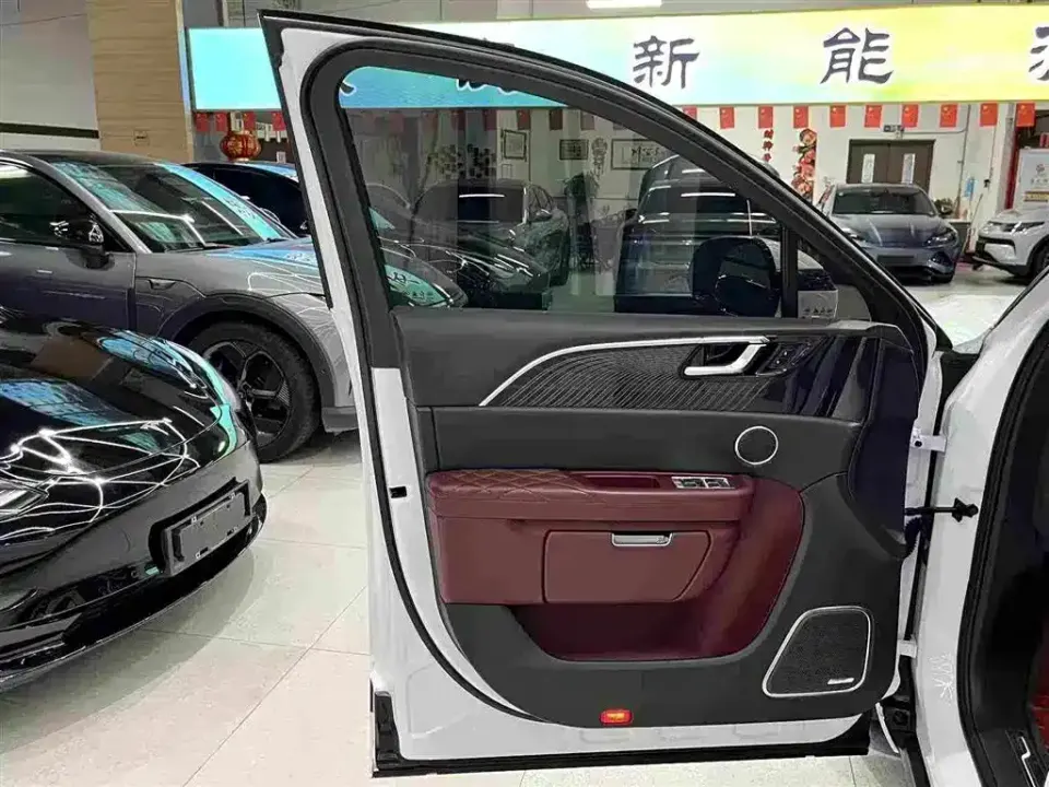 Hongqi Hongqi E-HS9