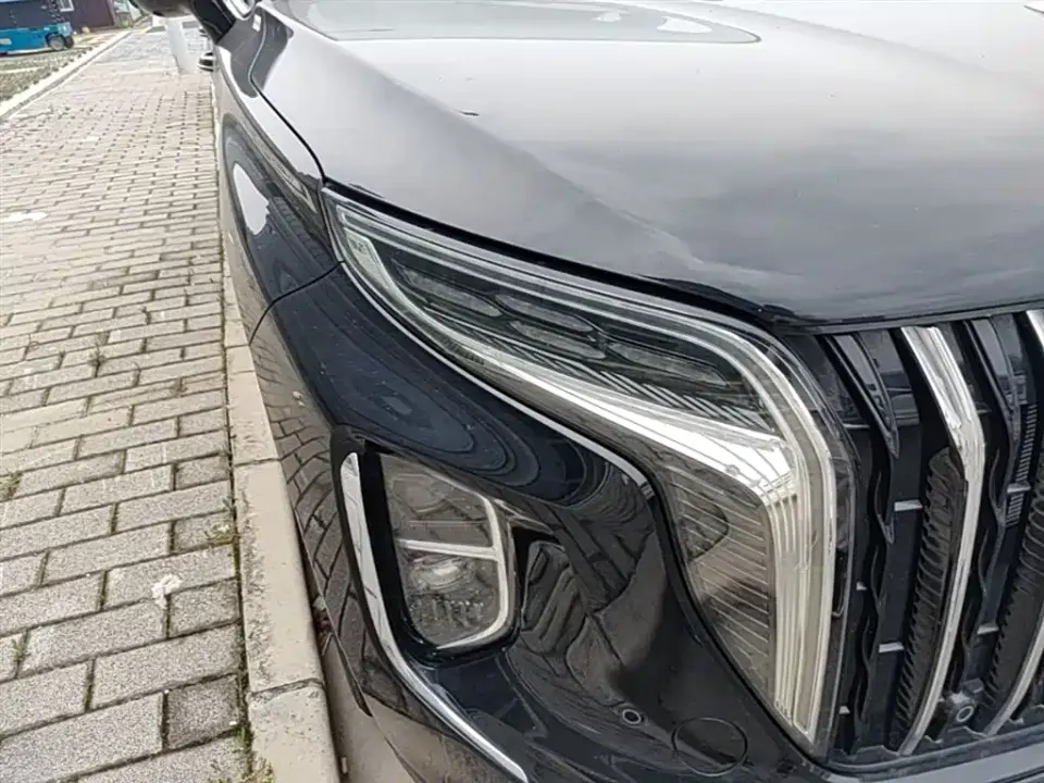 Hongqi Hongqi HS7 PHEV